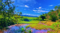 Nice days- chill