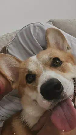 1 foto