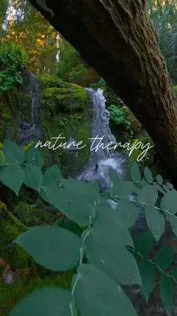 nature therapy