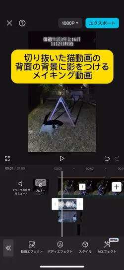 切り抜いた猫動画の背面の背景に影をつける