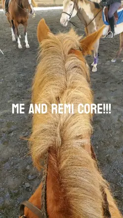 me and remi core