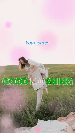 MORNING transparent