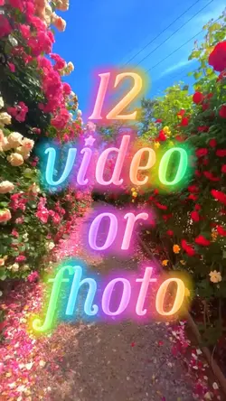 mini vlog