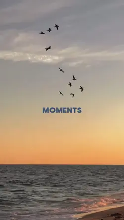 Moments | 20clips