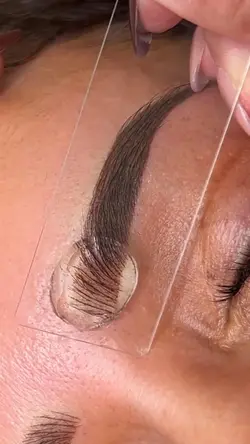 brows