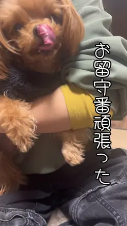 お留守番頑張った