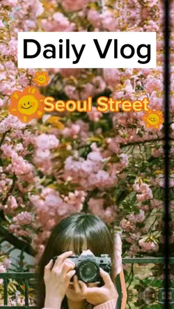 Korea street