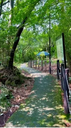 渓流登山へ出発です🙋🏻‍♀️