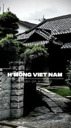 Mẫu 2 ảnh 