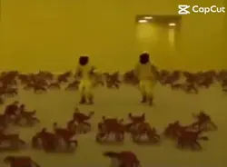 POV : moietmespotes