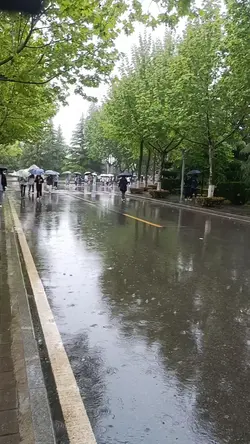 La mulți ani