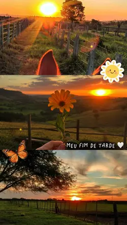 NATUREZA COLAGEM 