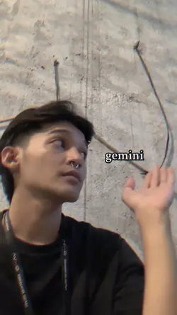 GEMINI