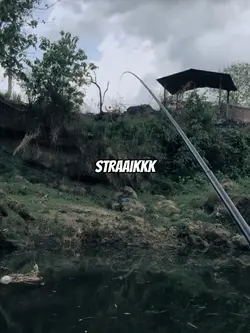 trend mancing