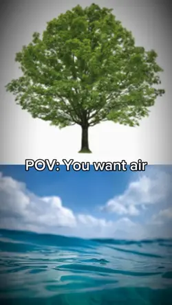 pov: you want air