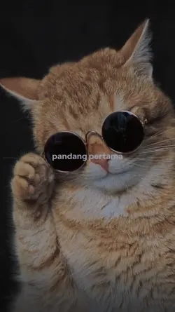 Stecu jaranan