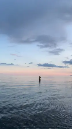 Fish on master
