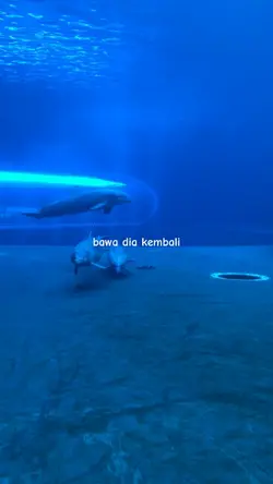 bawa diakembali slow