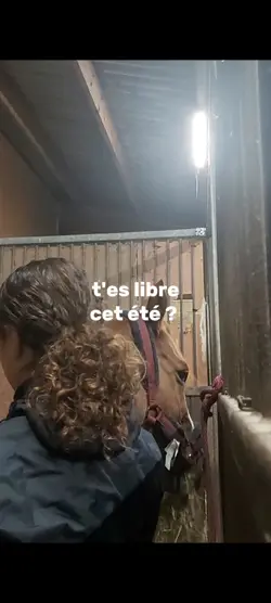 t'es libre cet été ?