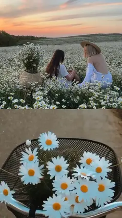 2 video aesthetic