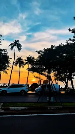 Vlog màu 7 clips