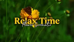 Relax Time HD