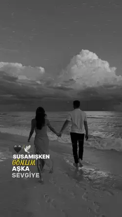 En güzel şablon