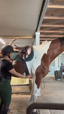tack up w me!