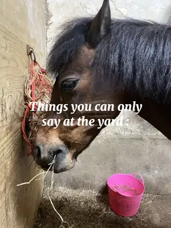 Things you can say 
