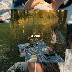 Instagram Stories