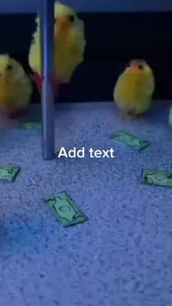 Pole Dance meme