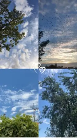 Doğa Huzur
