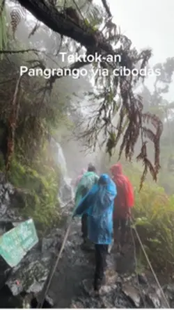 Tektok Gunung 