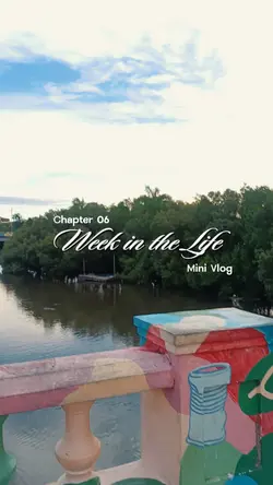 Week in the Life