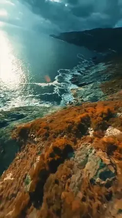 22 videos or photos 