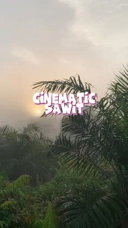 Cinematic sawit