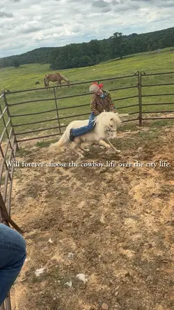 Cowboy life