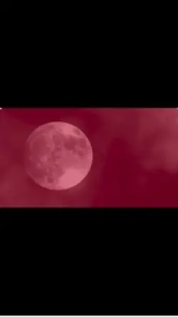 #batmannaansak