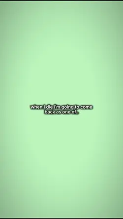 im going to comeback