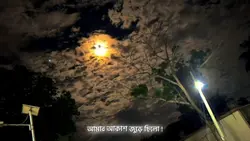 আমার আকাশ জুড়ে ছিল! 