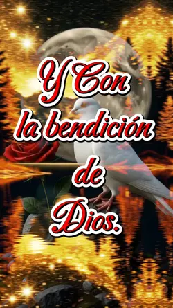 Buenas noches 
