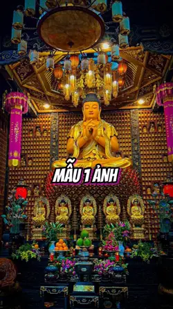 Mẫu 1 ảnh
