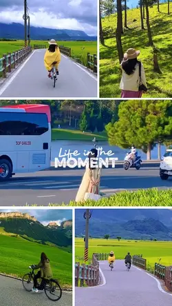 Life in the moment