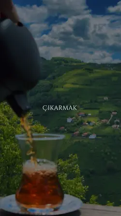 | Tadını çıkar 