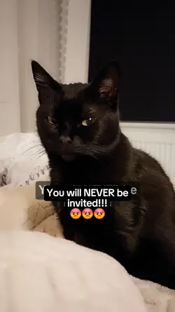 You weren't invited.