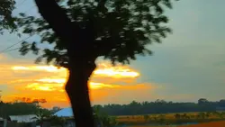 শরীফ থেকে সরিফা