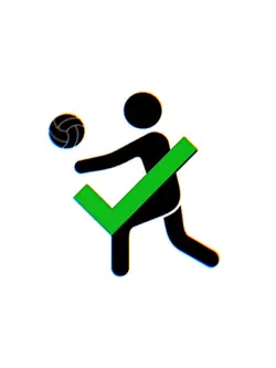 VERSI VOLLY