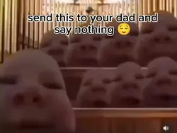 dad joke