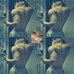 photo collage
4clip