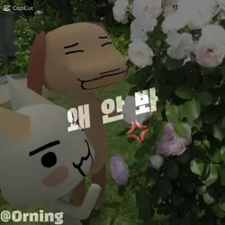 왜 안봥